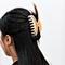 Colorful Hair Claw